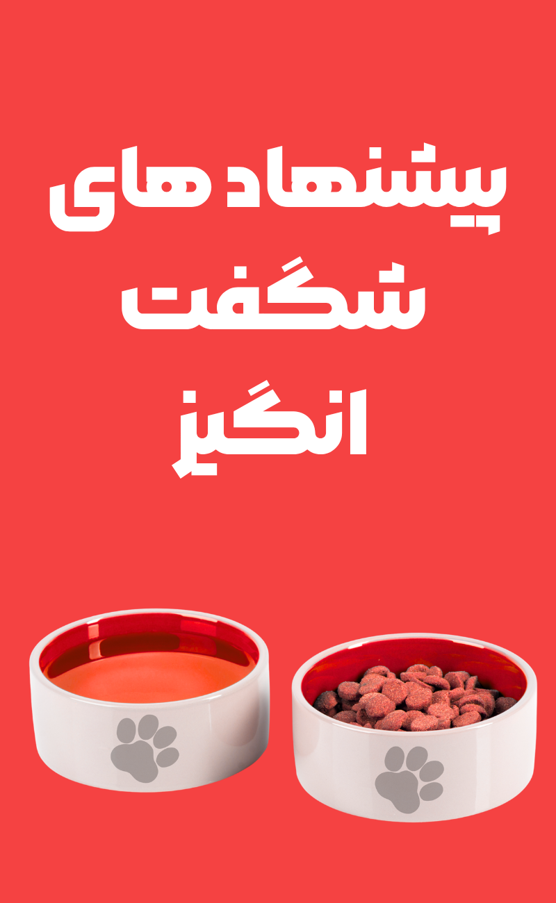 بنر پیشنهاد شگفت‌انگیز