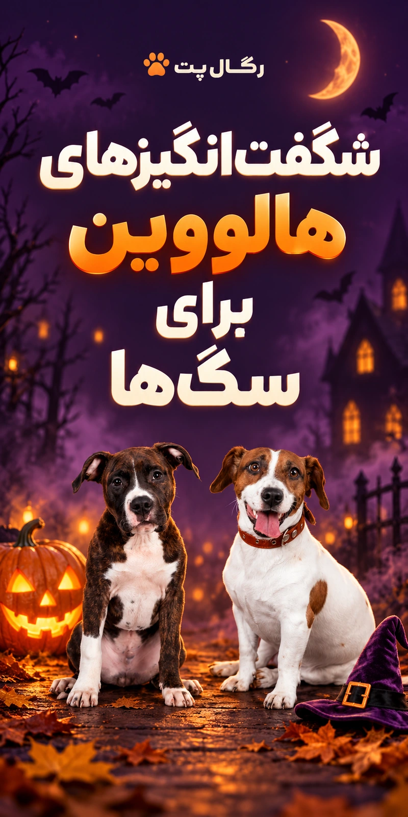 بنر محصولات شگفت‌انگیز ۲